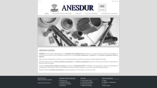 ANESDUR - :anesdur.com