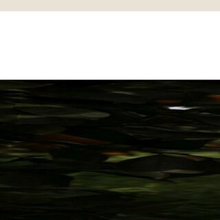 ? - :lanostrasicilia.com